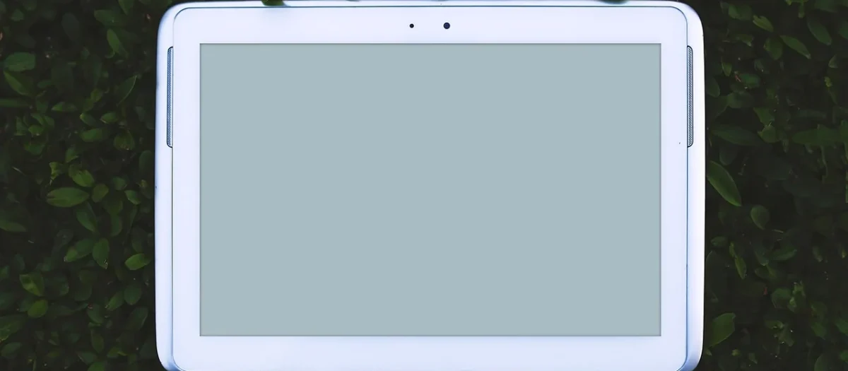Apgo Folia naklejka skórka strukturalna na TYŁ do Apple iPad 3 Wi-Fi + Cellular – Carbon Zielony – SKINS (CARZIAPGO005373TYT)