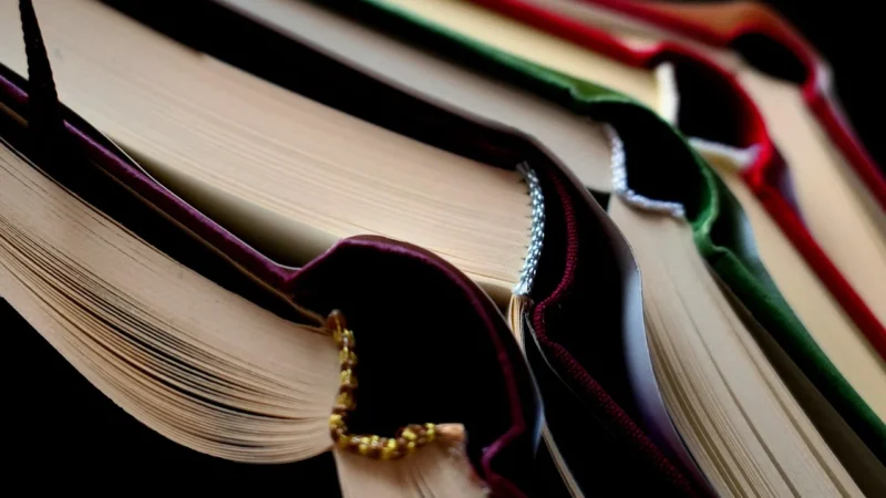 Biologia Multimedialna Encyklopedia Pwn (Płyta Cd)