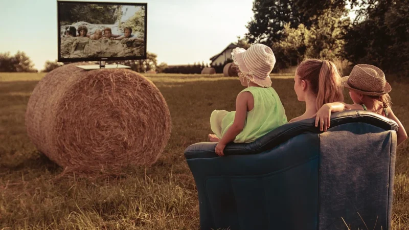 Cena Zoom jako element planowania komunikacji online
