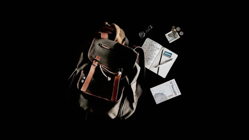dicota Torba na laptopa BASE XX Clamshell 14-15.6cala czarna (D31795)