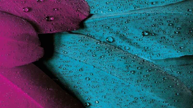 Epson T6173 Purpurowy