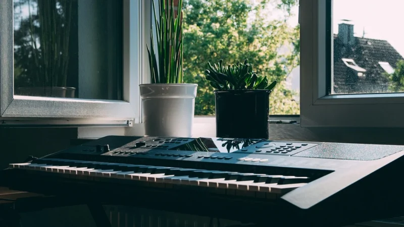 Image Line- ALL Plugin Bundle (FL Studio/VST) (wersja elektroniczna)