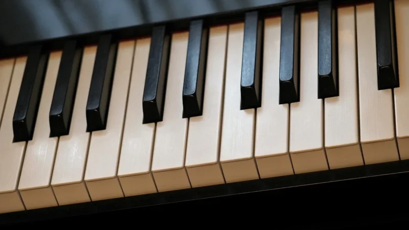 Ivory II Studio Grands