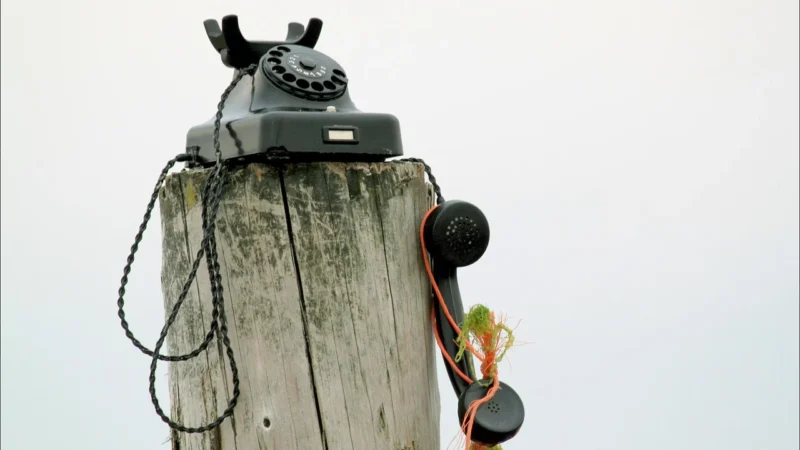 Lanberg Kabel Telefoniczny 100M 2-Żyły Biały Płaski (TC2CFL10CC1000W)