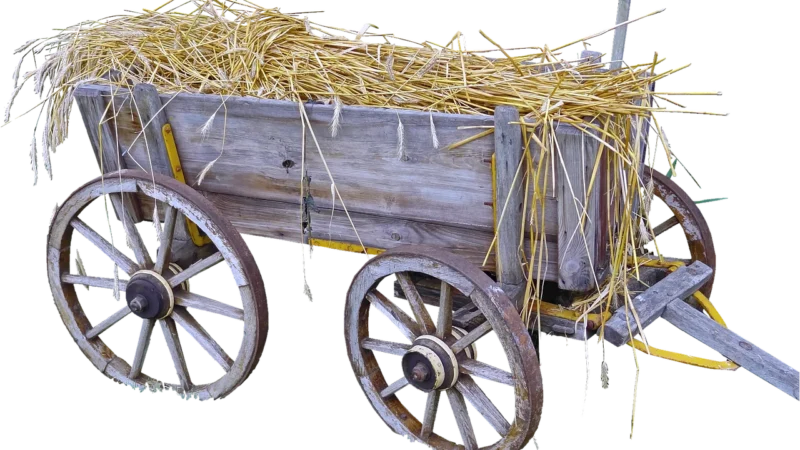 Oryginalny tusz Canon czy zamiennik — kiedy warto dopłacić?