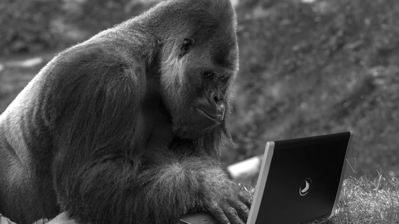 PLECAK NA LAPTOPA 15 6 MĘSKI DAMSKI SZARY SZKOLNY