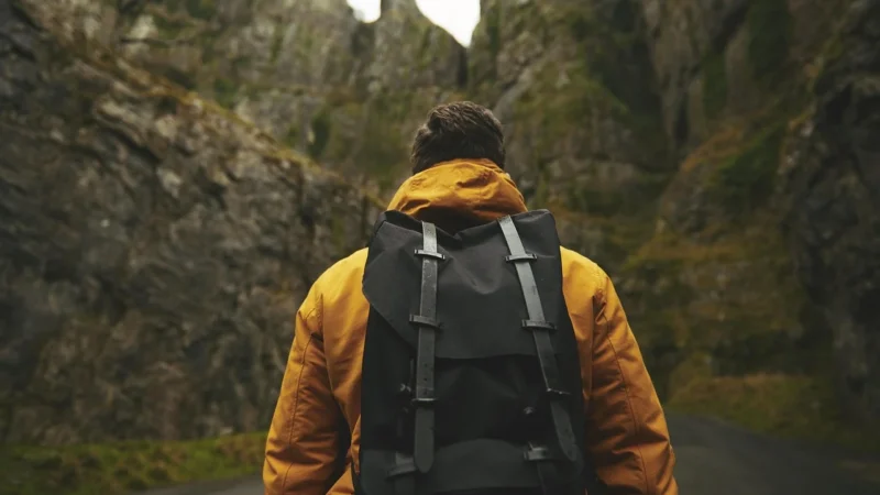 Targus Essential Backpac (Tsb023EU)