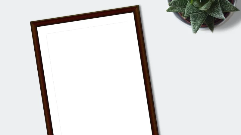 Tecco Papier Professional Portrait Matt 230G (A3+) 50 Arkuszy Pm230 (5969330483)